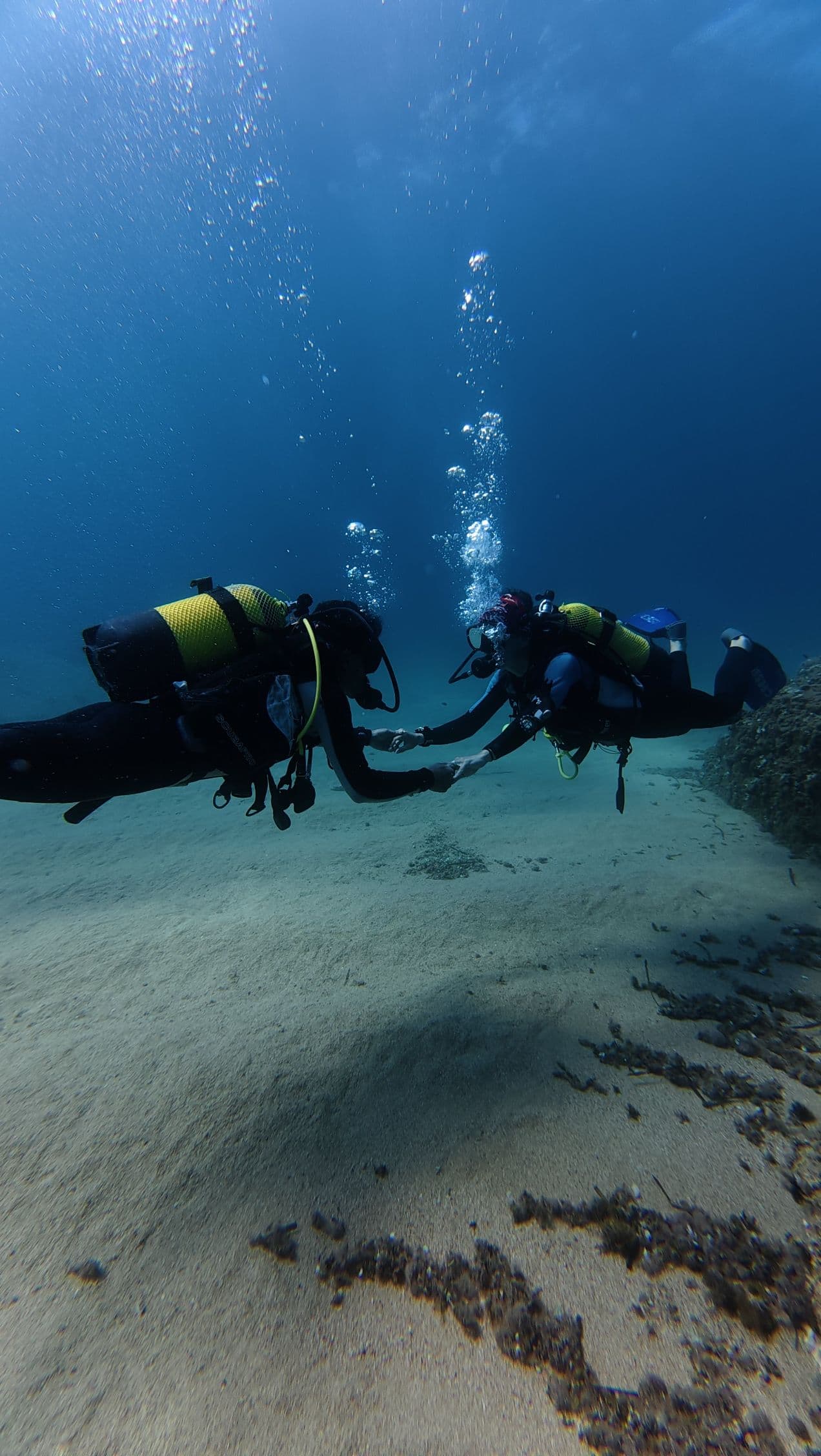 Curso Divemaster