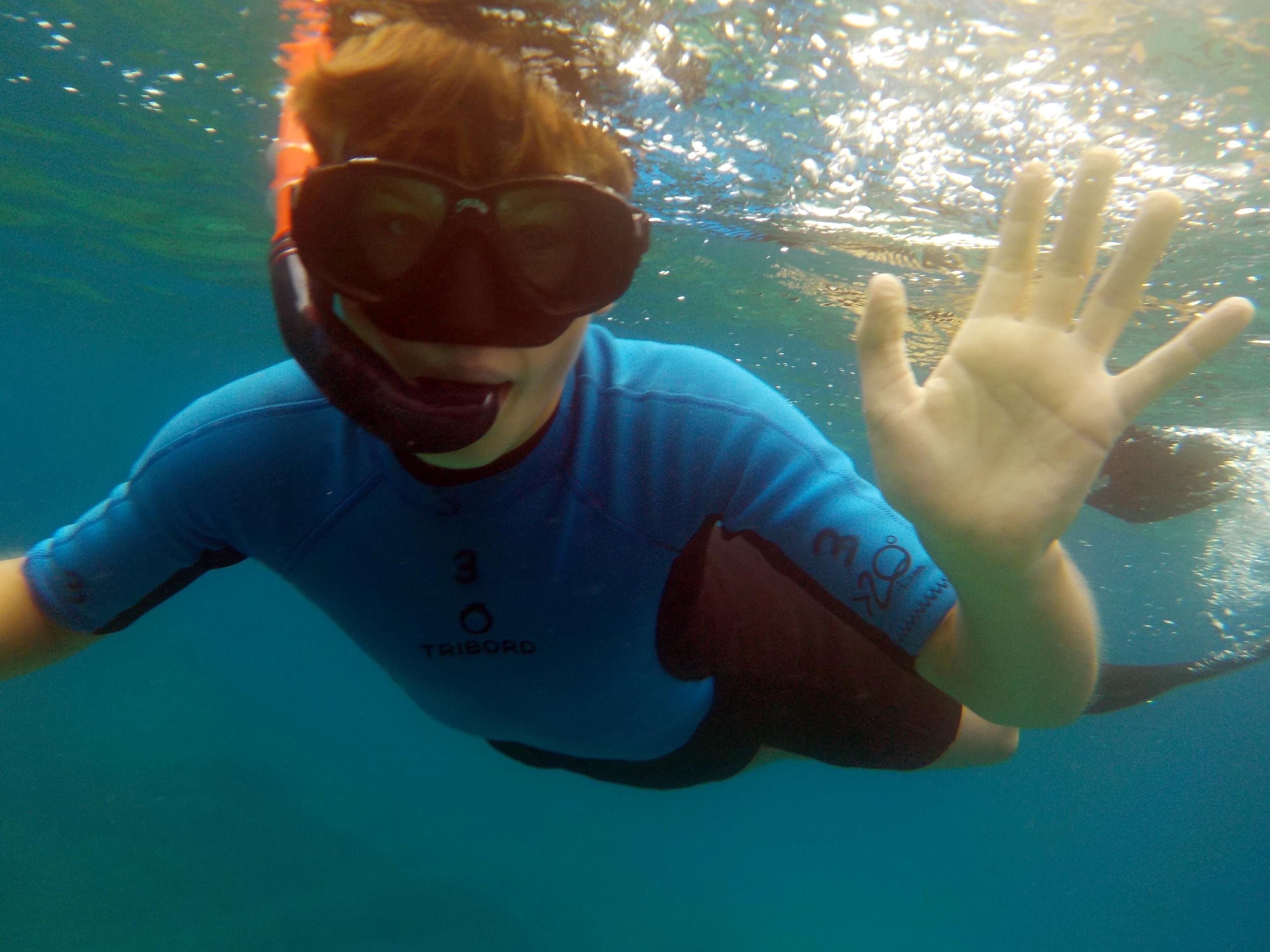 Snorkeling con Biologia Marina desde Barco